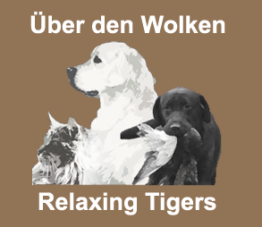 u d wolken logo