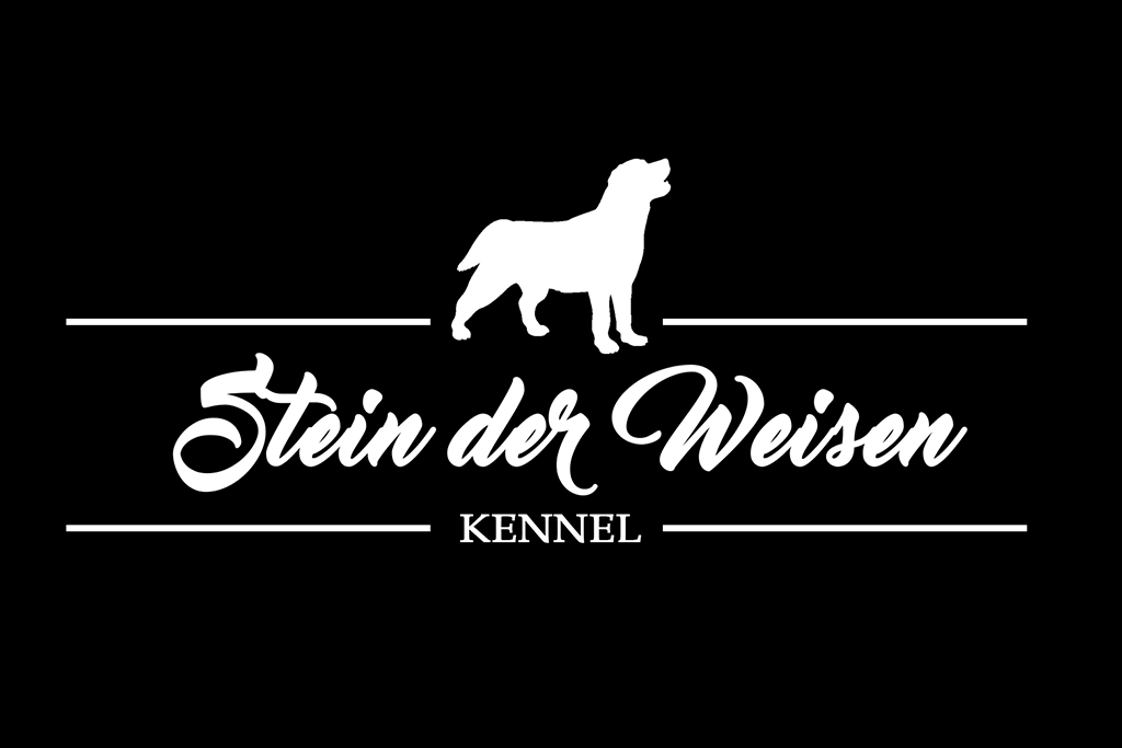 stein_der_weisen